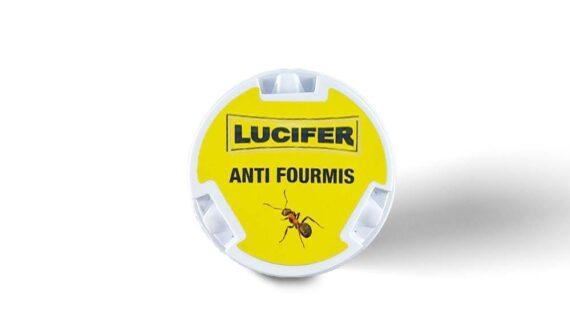 Boite anti fourmis Lucifer