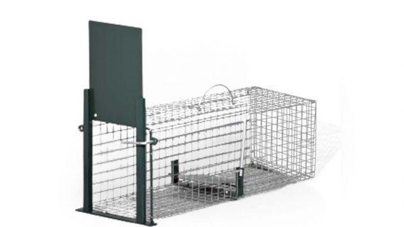 Image du produit précédent