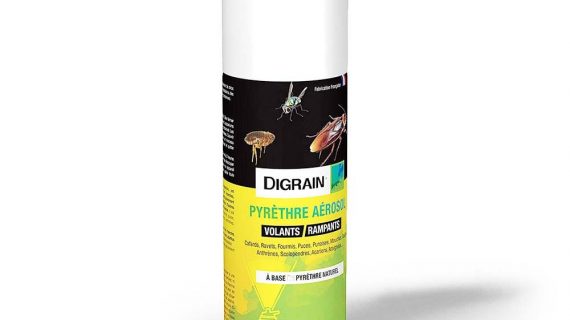 Insecticide Pyrèthre One-Shot Digrain 200mL