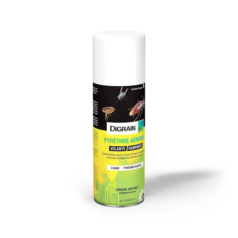 Laque choc contre les punaises de lit Digrain - 500 ml