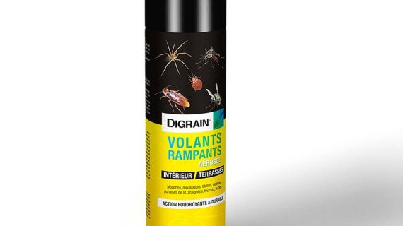 Insecticide Pyrèthre One-Shot Digrain 200ml - Aurouze