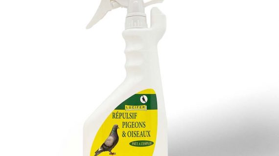 https://www.maison-aurouze.fr/wp-content/uploads/2021/02/Produit-Lucifer-spray-repulsif-anti-pigeons-et-oiseaux-570x320.jpg