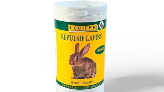 Image du produit suivant