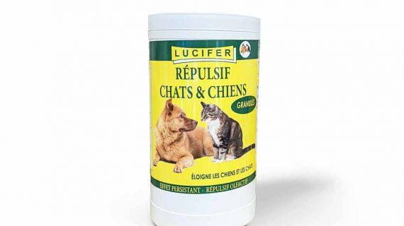 Image du produit suivant
