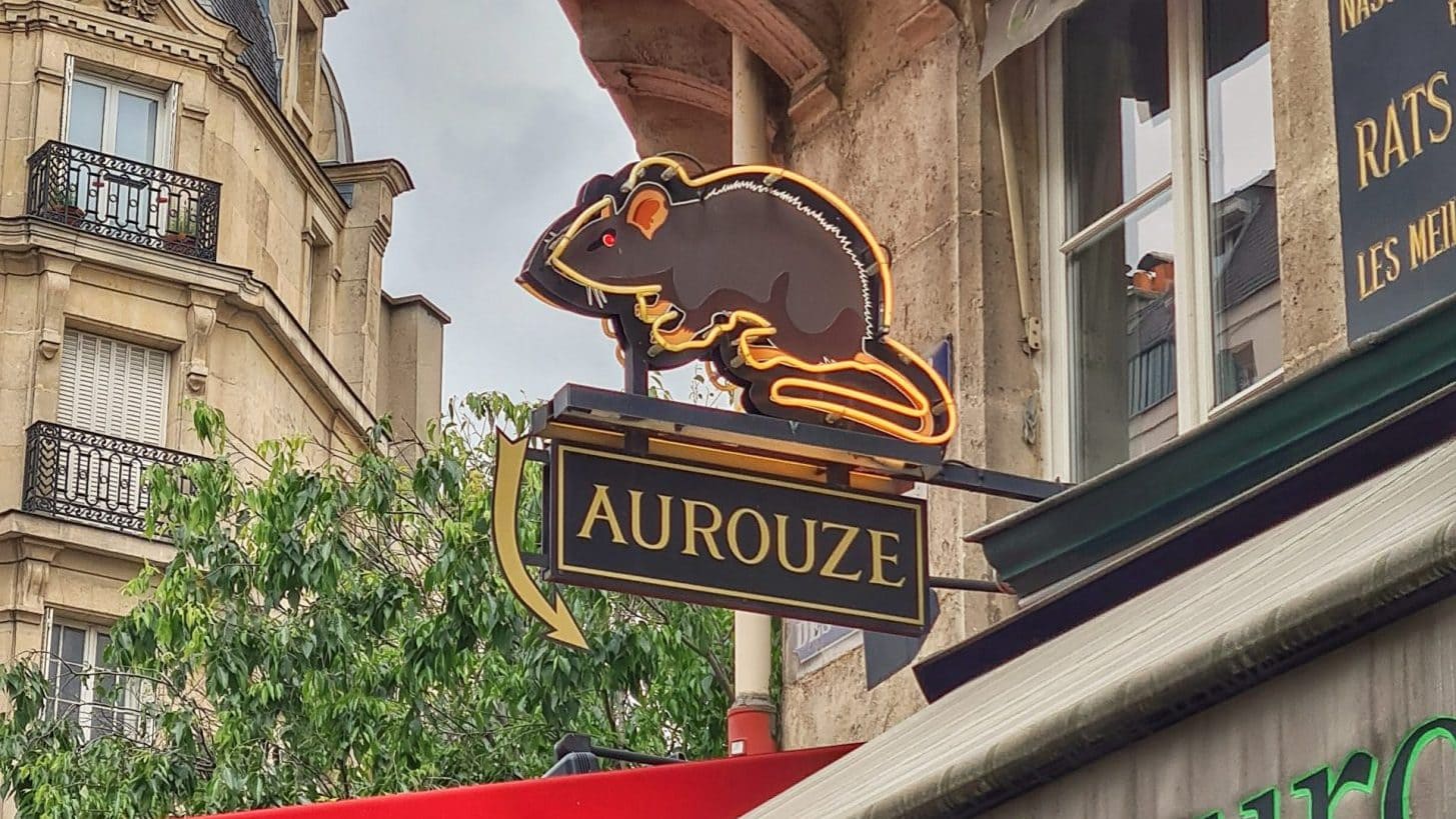 Contrôle Efficace des Loirs avec Maison Aurouze