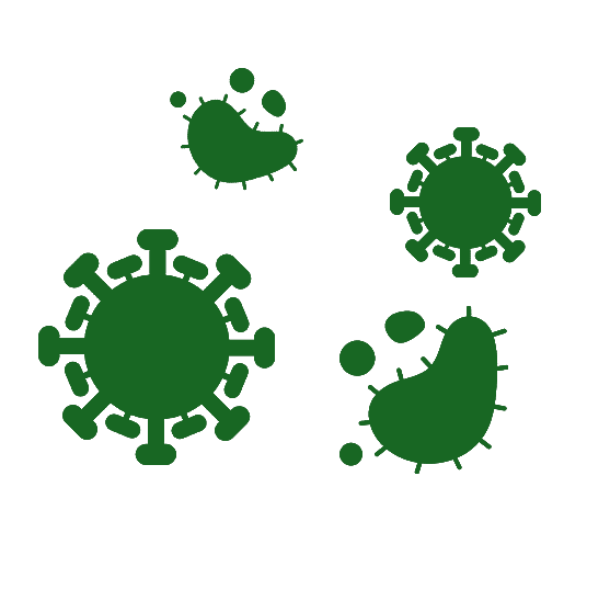 bactéries vert