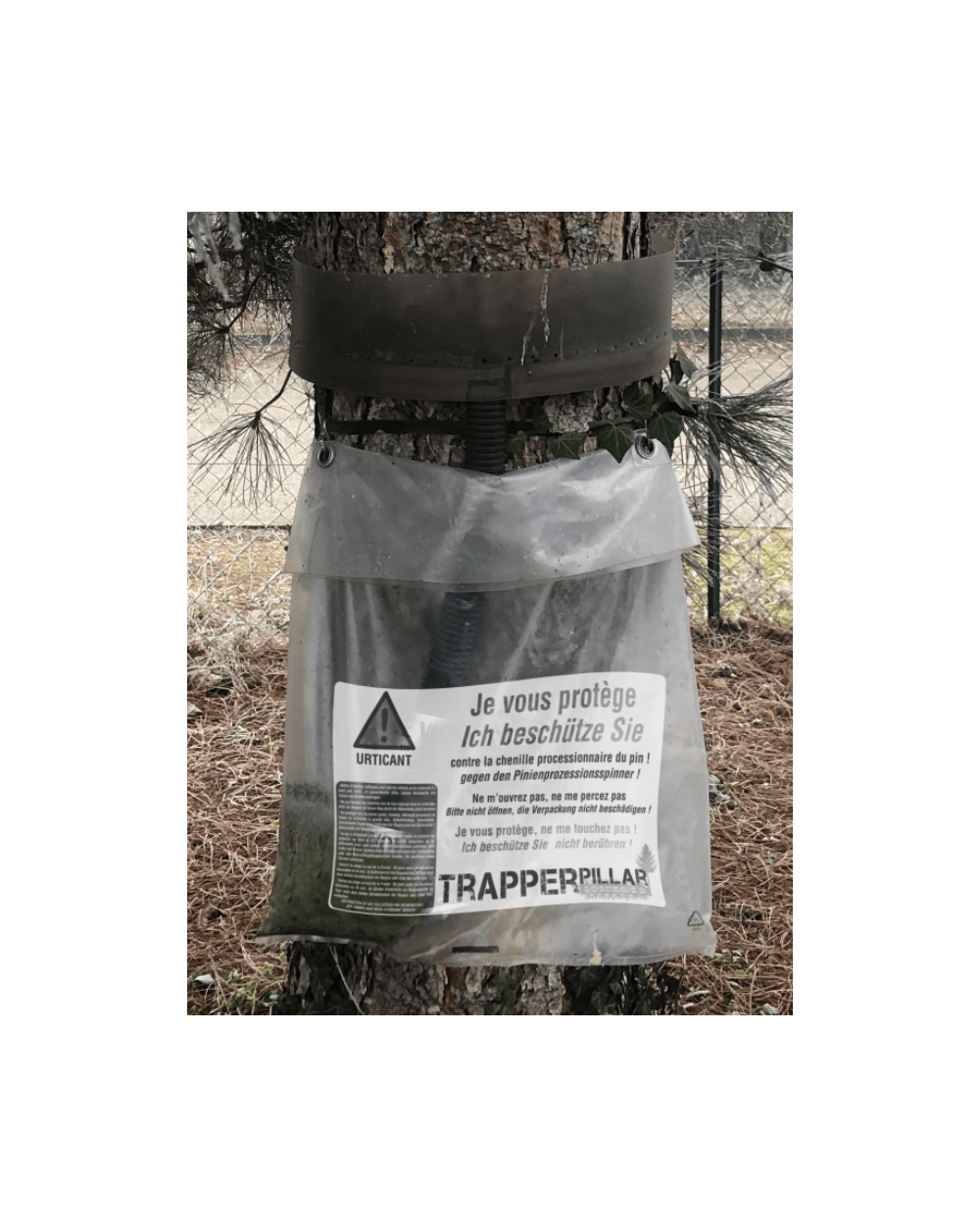 Piège Chenilles Processionnaires Trapper Pillar